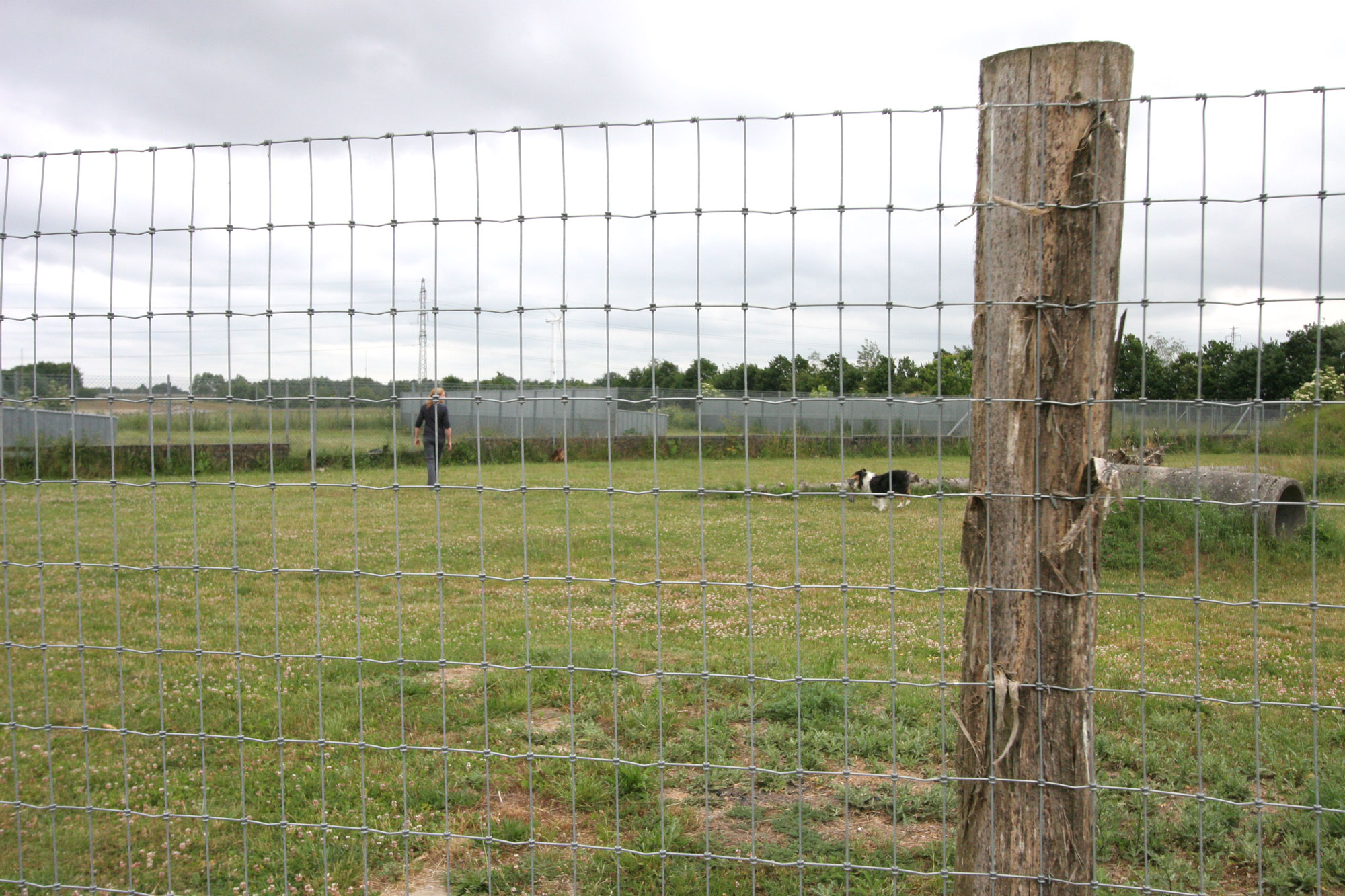 Ein hoher Zaun umgibt einen Auslauf, in dem ein Hund und ein Mensch herumlaufen.