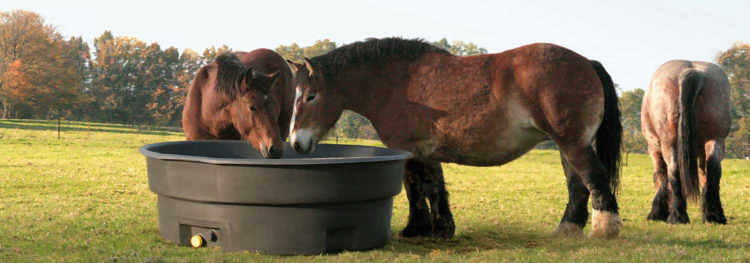 Zwei Pferde trinken aus einem schwarzen Trogtränke, ein anderes Pferd im Hintergrund