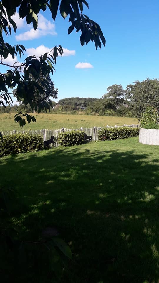 Blick über die Landschaft aus einem Garten mit einem Poda-Kastanienzaun im Hintergrund.