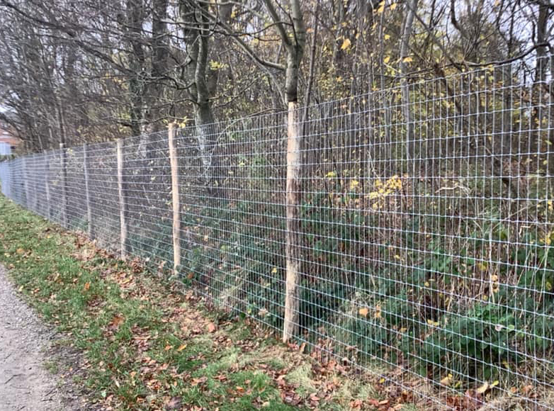 Eine Grünfläche wird durch einen hohen Multinet-Zaun auf Robinienpfosten geschützt