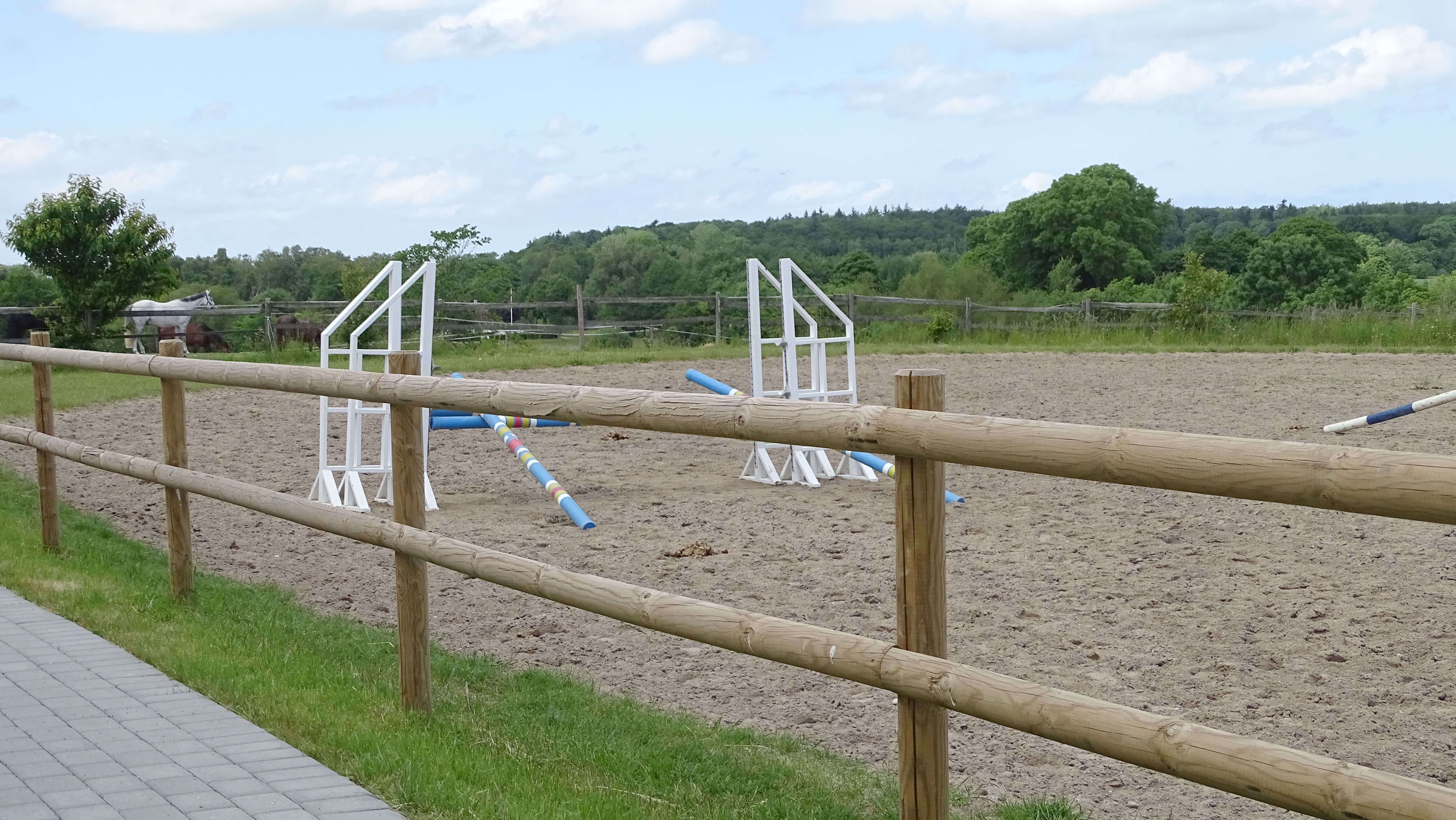 Hinter einem Pferdezaun mit halbgeschnittenen Latten befindet sich ein Reitplatz mit Sprüngen.