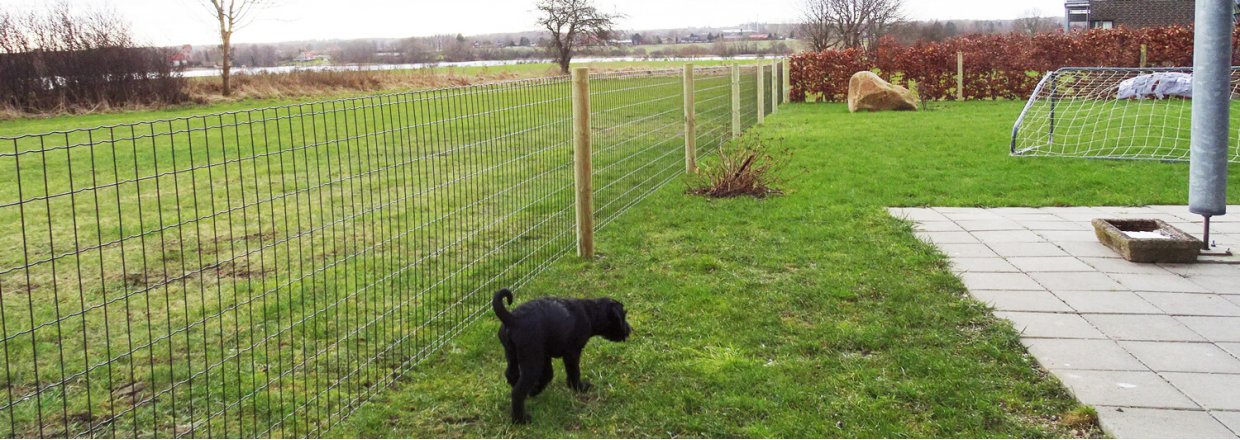 Ein kleiner schwarzer Hund läuft im Garten herum, der mit dem Gartenzaun von Lux eingezäunt ist.