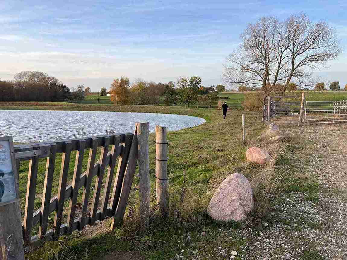 In einer Umzäunung aus Elektrozaundrähten wird ein Klappentor als Ein- und Ausgang gewählt
