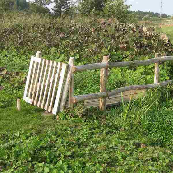 Ein Holztor öffnet sich zu einem Holzsteg, der das Publikum über ein sumpfiges Gebiet führt